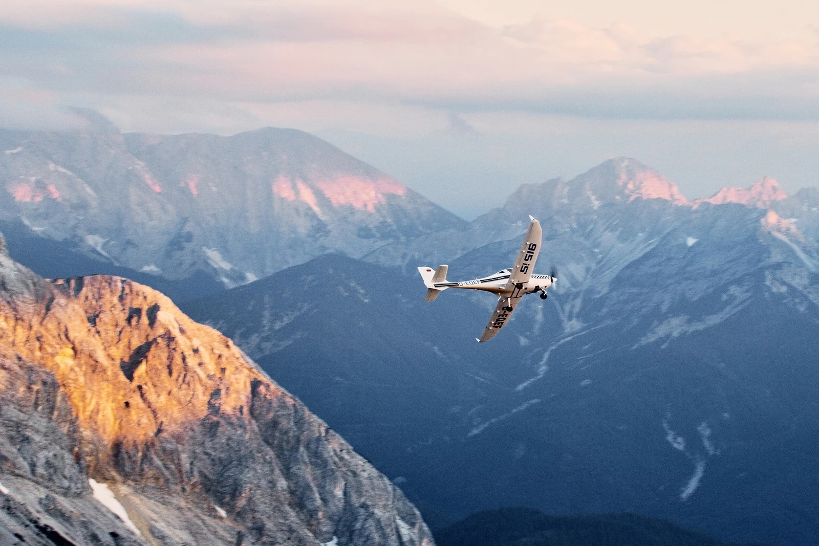 Fly in Fly in