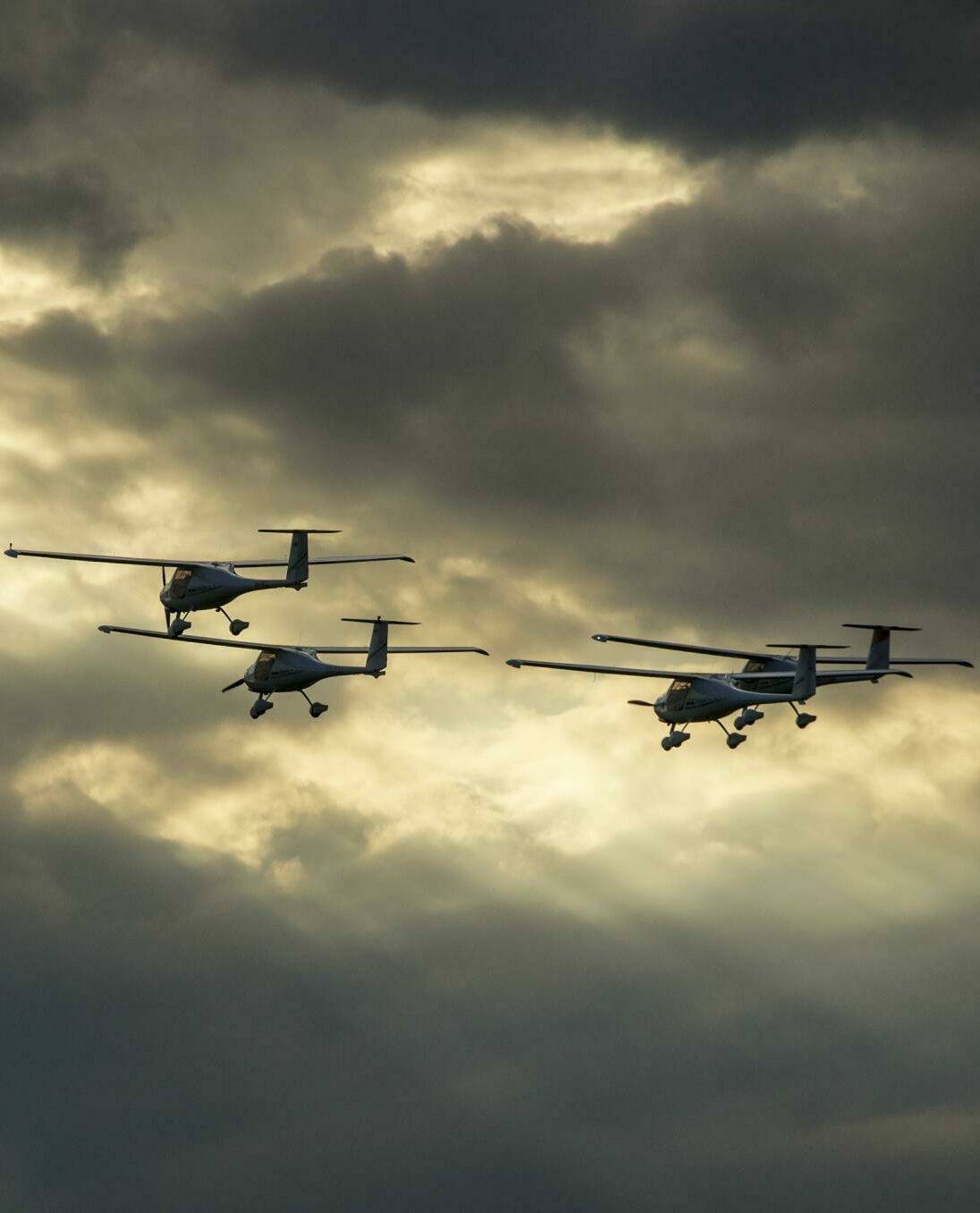 Pipistrel-In-Formation