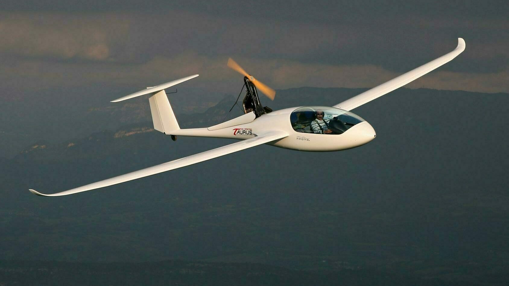 Pipistrel Taurus